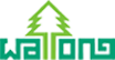 Wallong Technology logo