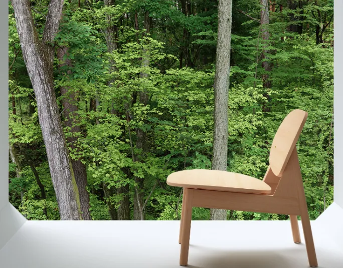 Product photo from the company website