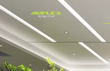 Product photo from the company website