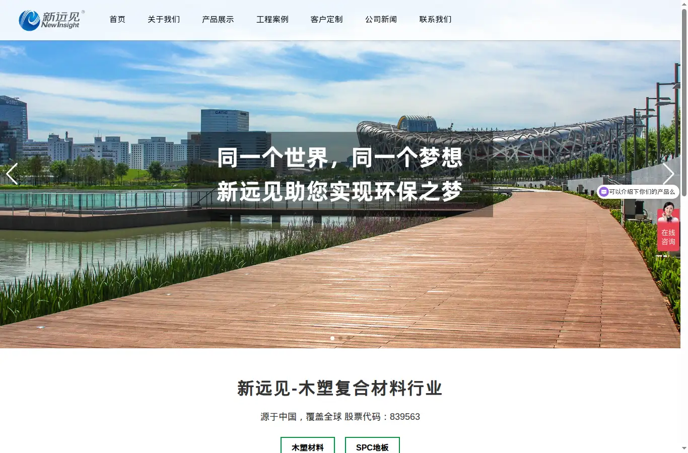 newinsight.cn homepage screenshot