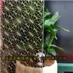 Product photo from the company website