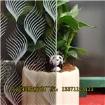 Product photo from the company website