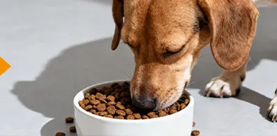 Product photo from the company website