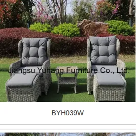 BYH039W