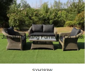 SYH283W