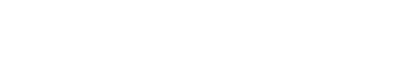 Shanghai Flexem Technology Co., Ltd. logo