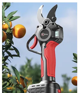 Product photo from the company website