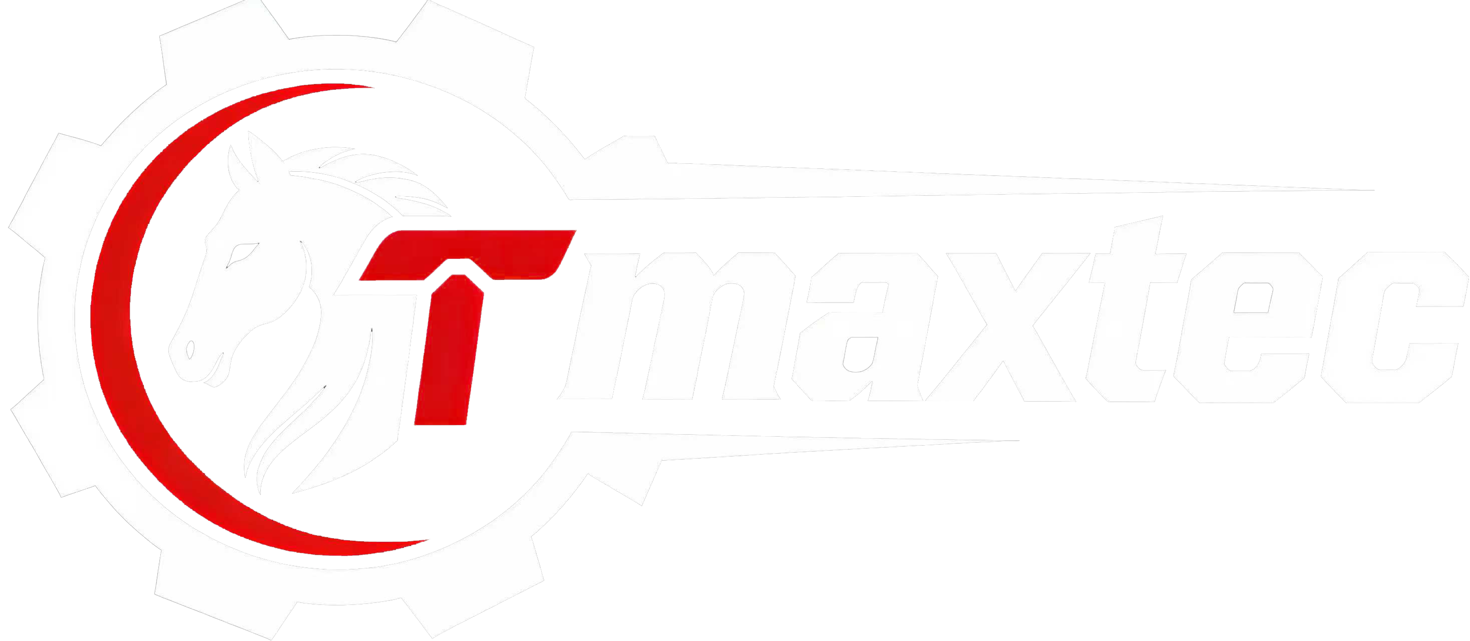 Fuzhou Teamax Power Technology Co., Ltd. logo