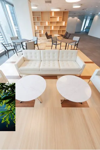 Product photo from the company website