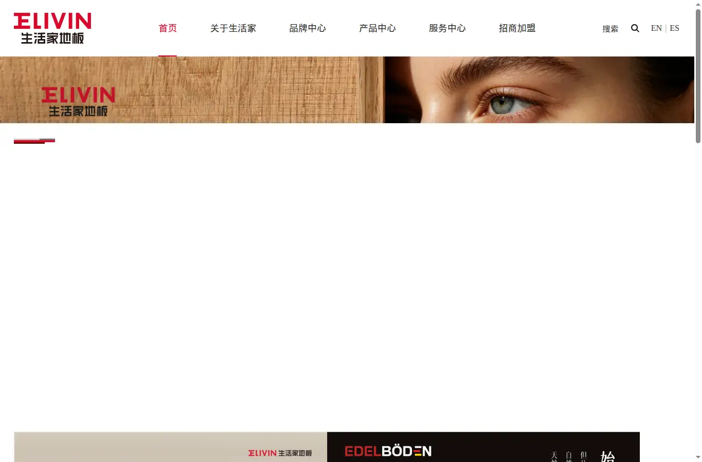 elivin.cn homepage screenshot