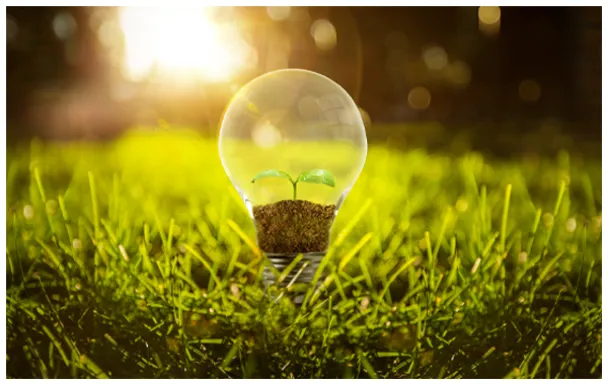 Product photo from the company website