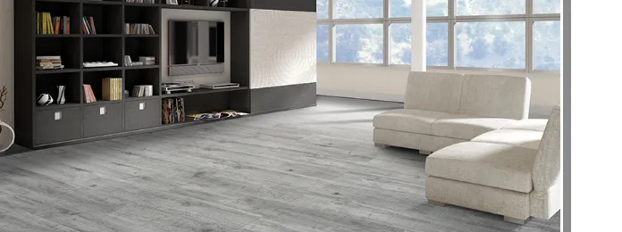 Product photo from the company website