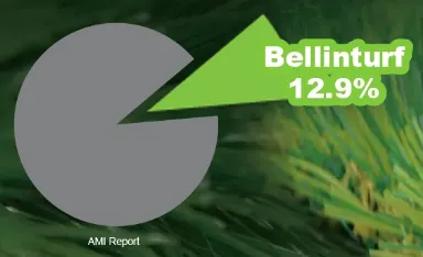Global Artificial Turf Market Share By Volume In 2023 from AMI report 2024