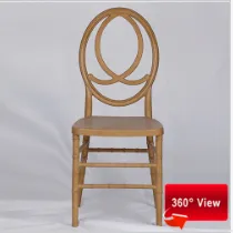 ZS-8046PR RESIN PP GOLD PHOENIX CHAIR