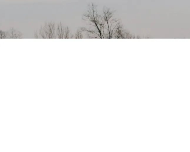 Product photo from the company website