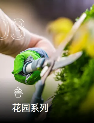 Product photo from the company website
