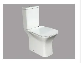 HCT8113