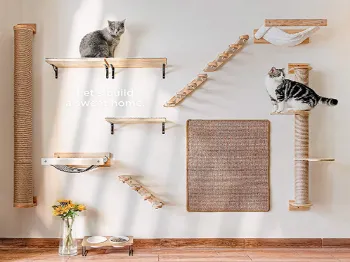 Product photo from the company website
