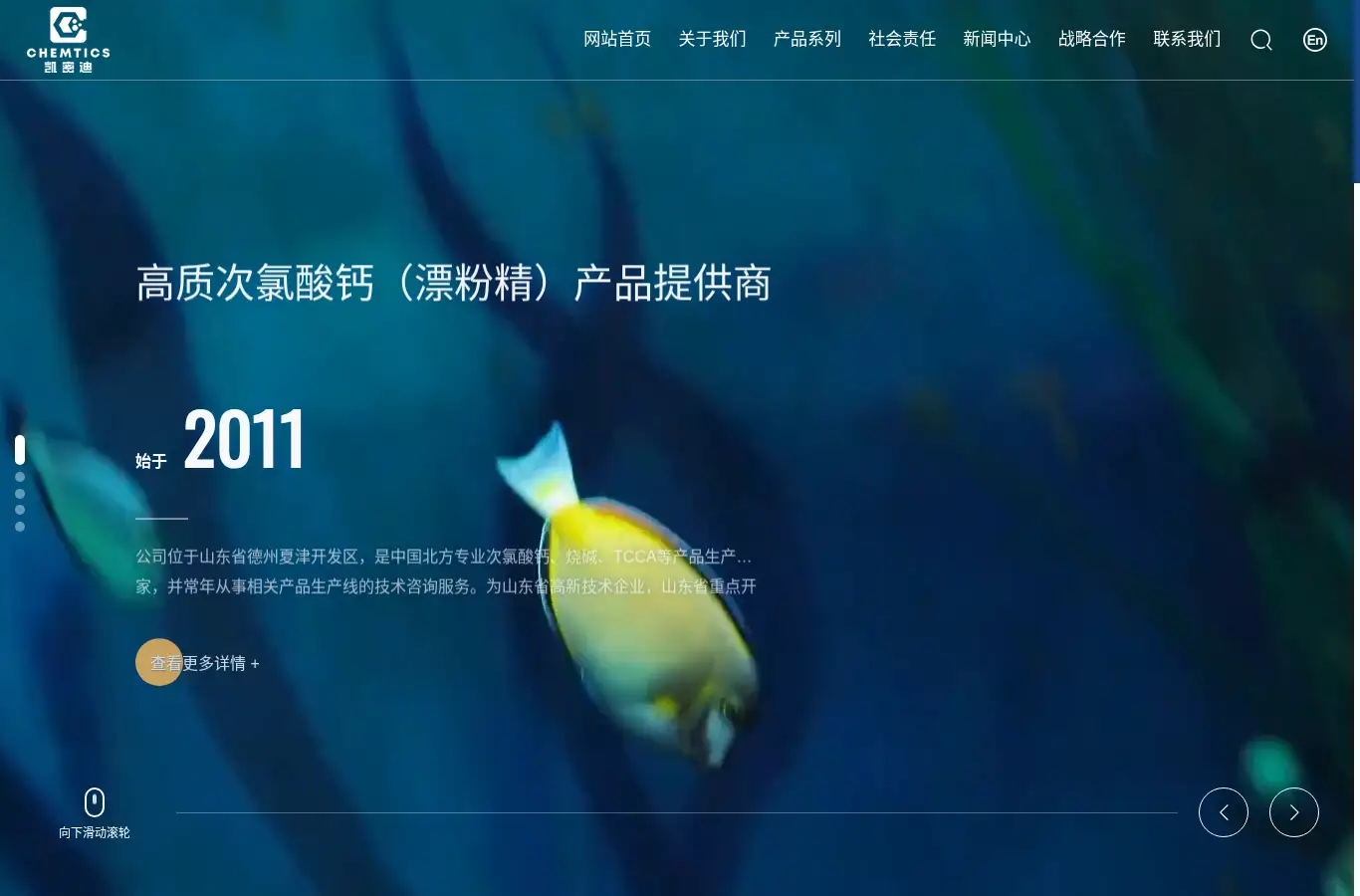 dzkmd.com homepage screenshot