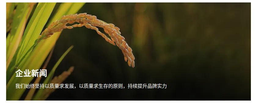 Product photo from the company website