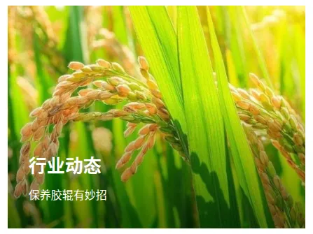Product photo from the company website