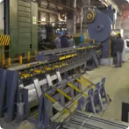 Automatic Shearing line