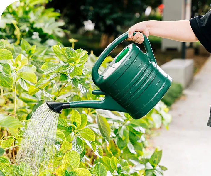Product photo from the company website