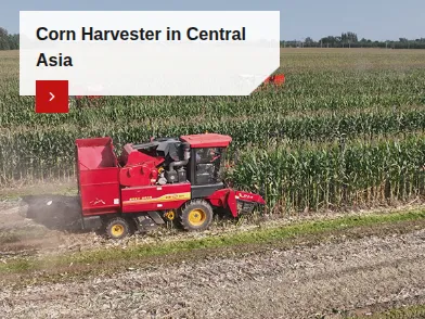 Corn Harvester in Central Asia