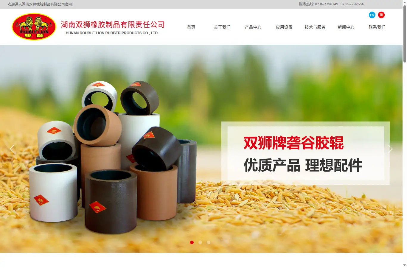 double-lion.com homepage screenshot