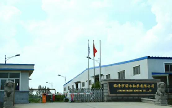Linqing Nuoer Bearing Co., Ltd.