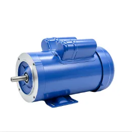 NEMA Series Motor
