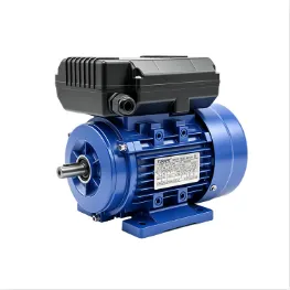 Single Phase Series Motor