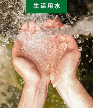 Product photo from the company website