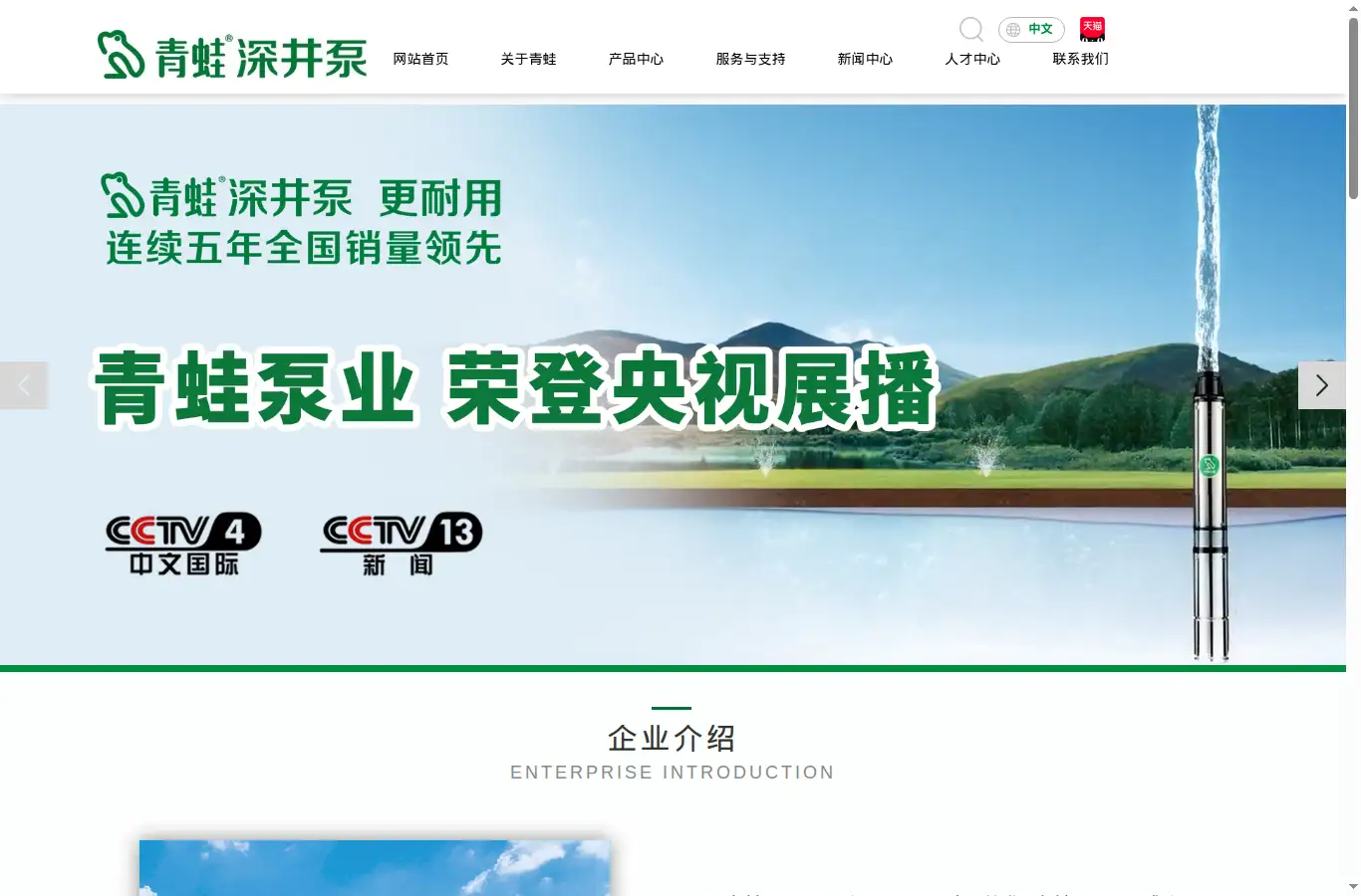 qingwapump.com homepage screenshot