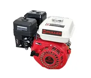 Gasoline Engine