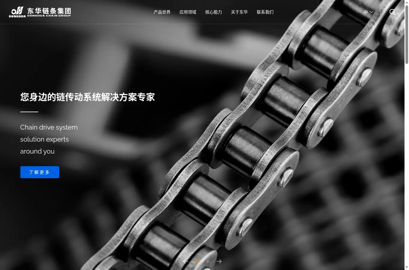 dhchain.com homepage screenshot