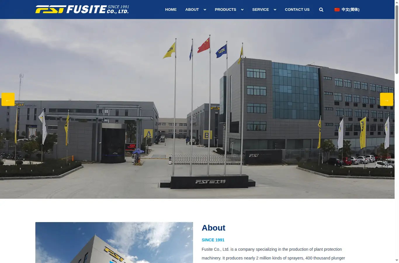 china-fst.com homepage screenshot