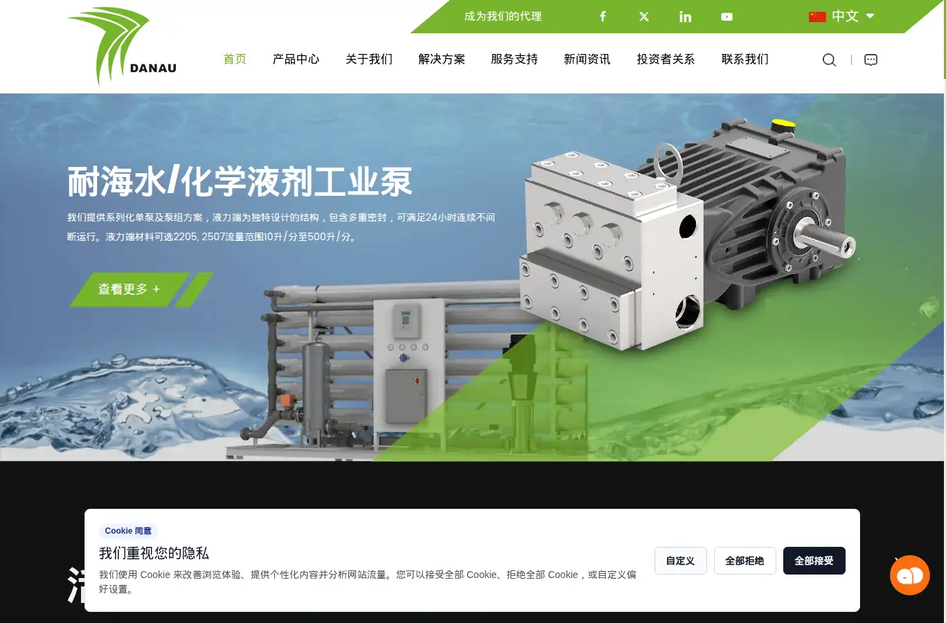 danau.cn homepage screenshot