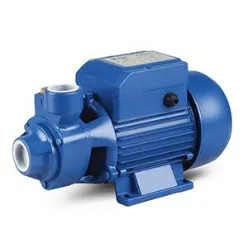 QB Series Small Domestic Electric Peripheral Pump 
