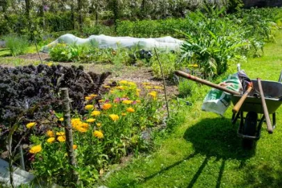 2026 Ultimate Wheelbarrow Guide: Heavy Duty Solutions for Construction & Garden