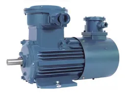 Product photo from the company website