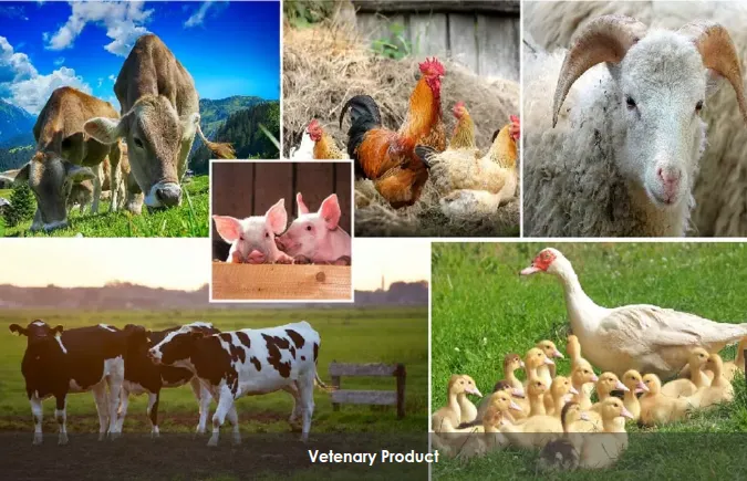 Vetenary Product