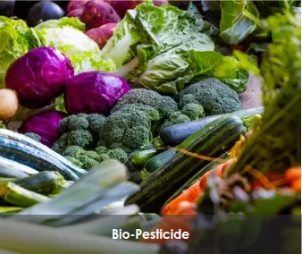 Bio-Pesticide