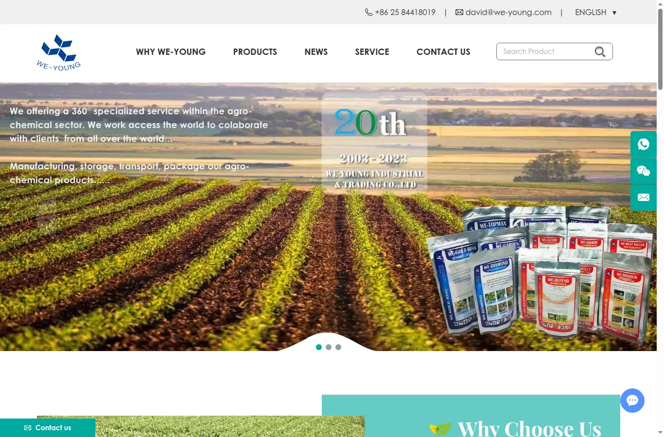 we-young.com homepage screenshot