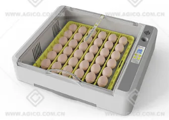 Recommended Small Egg Incubators for Beginners Home Use