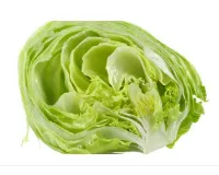 Product photo from the company website
