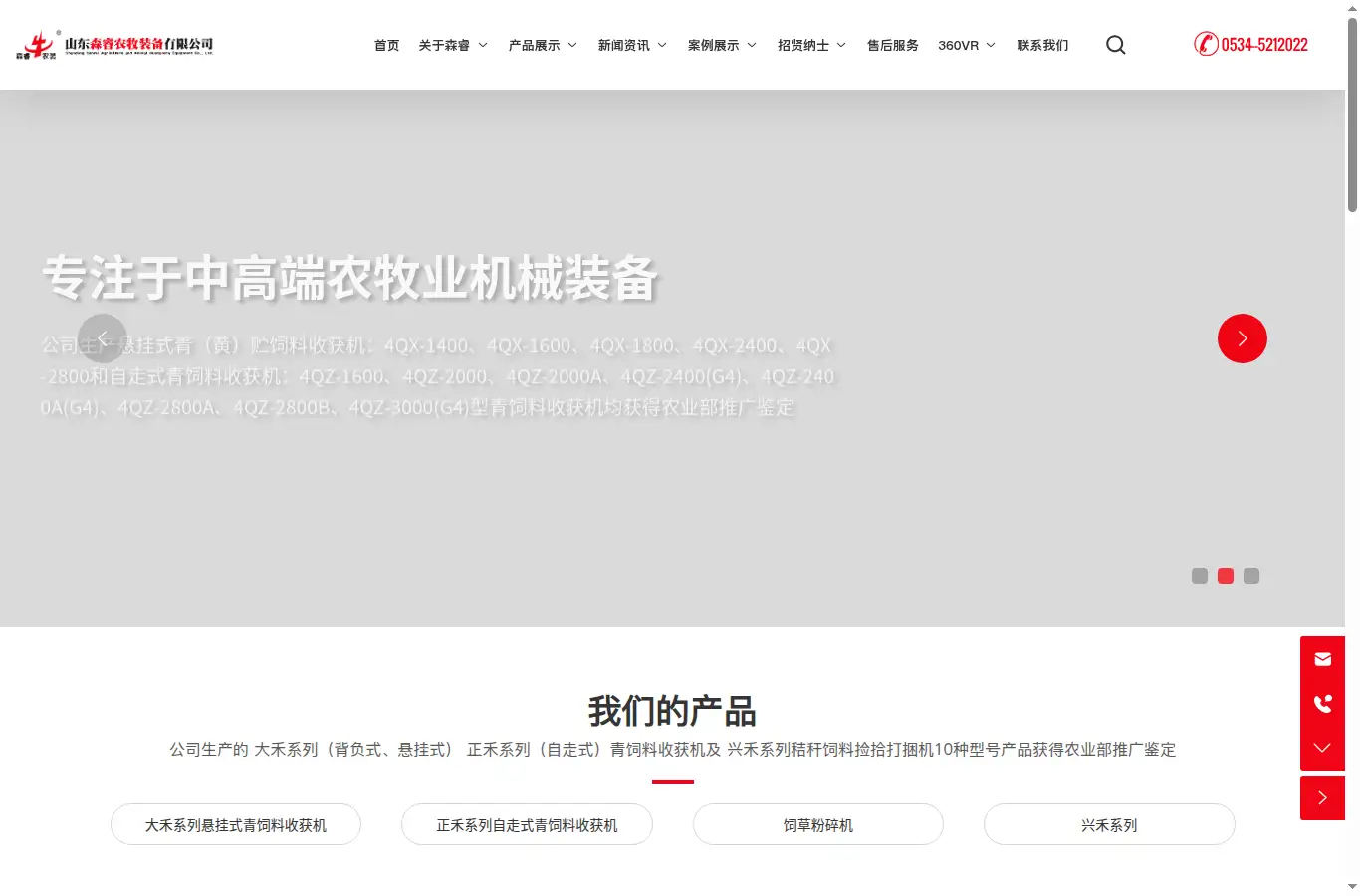 senruinz.com homepage screenshot