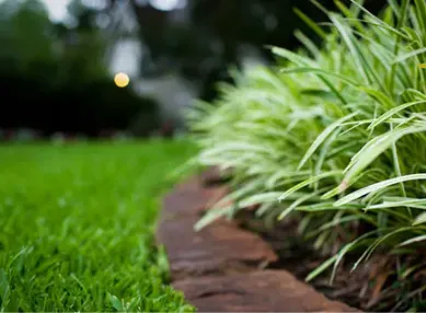 Product photo from the company website