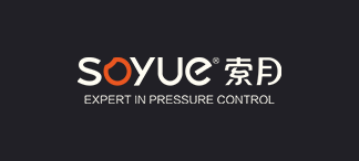 Jinshi Technology Co., Ltd. logo