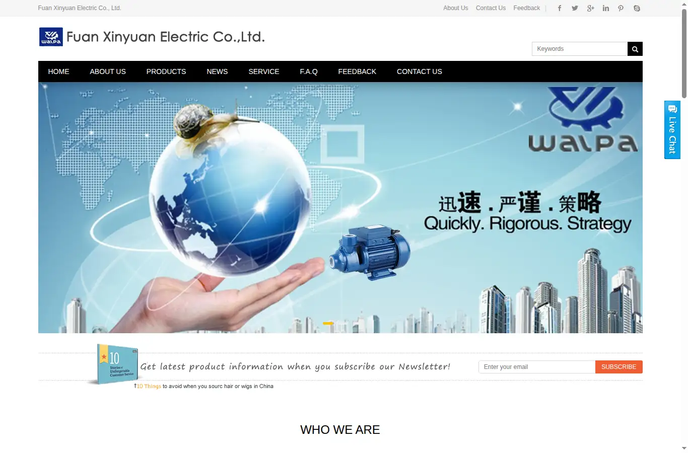walpa-pumps.com homepage screenshot